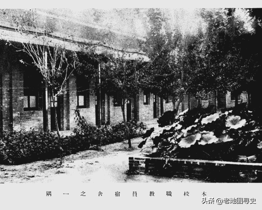 13241)次
